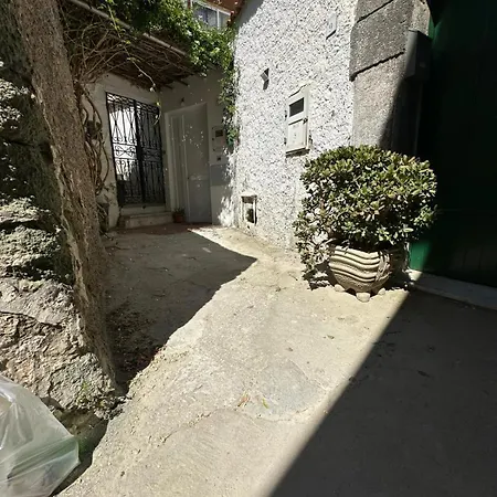 Apartament Forio G&g *